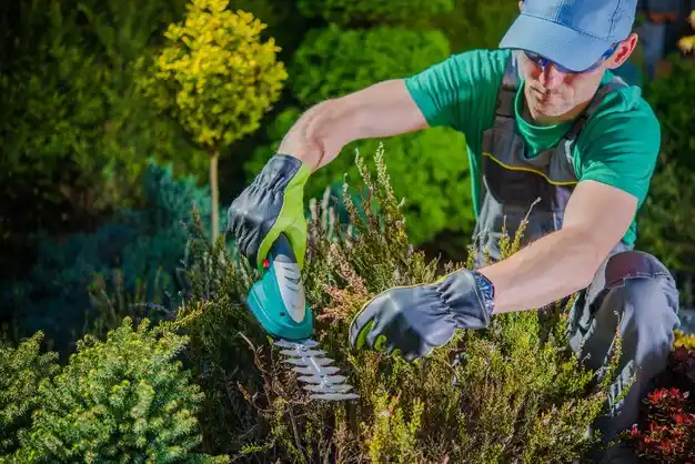 landscaping services North Lakeville